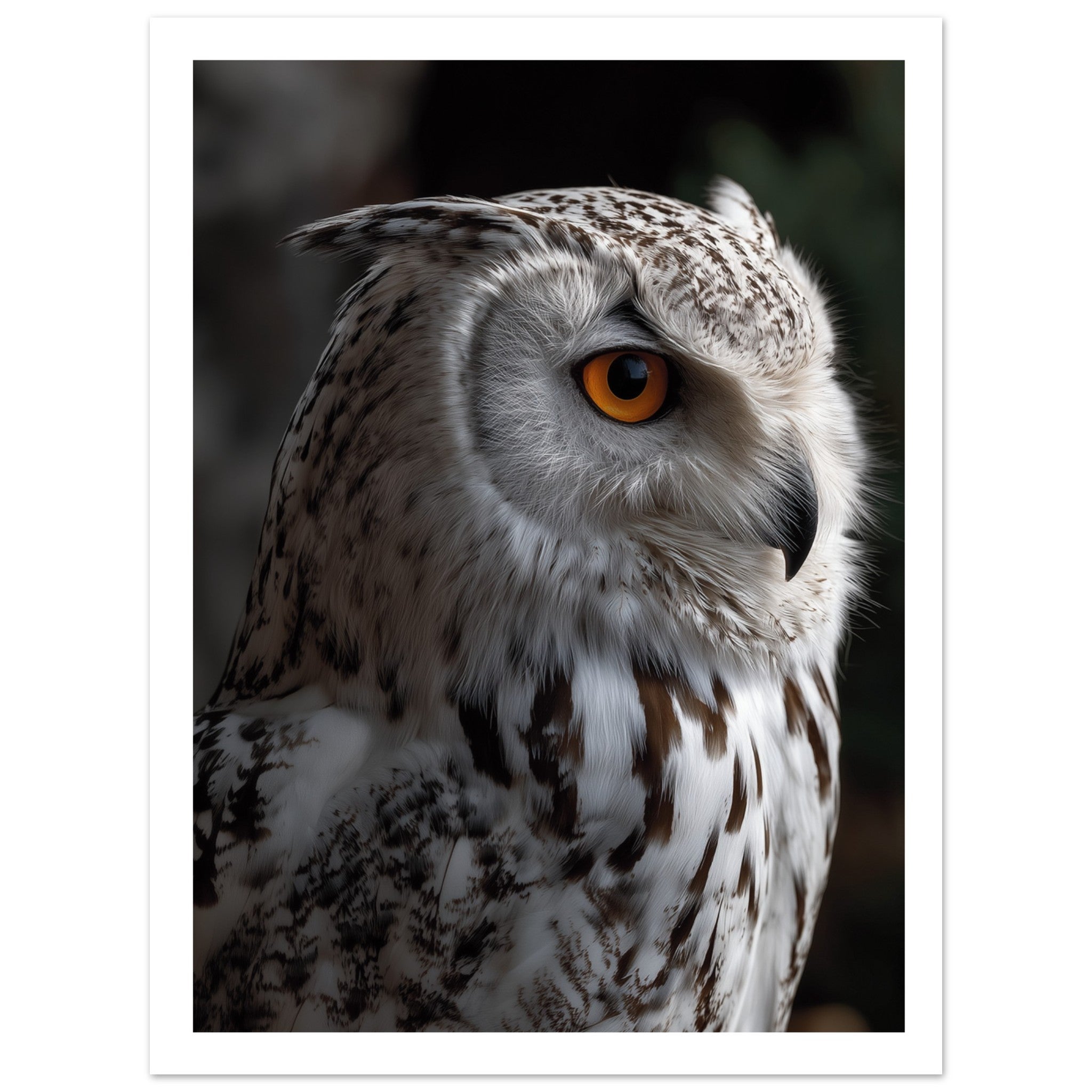 fb3cf36f-87e4-445d-95f4-34b448ce155b